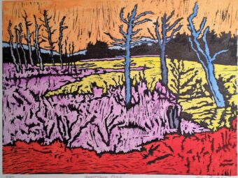 HAND COLORED WOODCUT / 12 " x 16 "