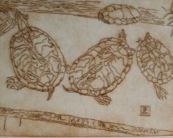 ETCHING / 9 " x 12 "